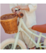 Loopfiets 12 inch in mint – stevige balansfiets voor peuters en kleuters