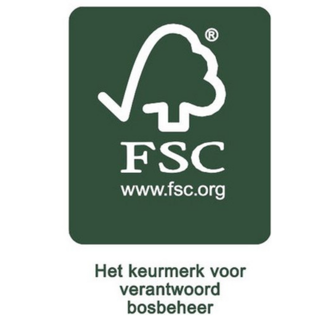 Houten stapeltrein | Duurzaam speelplezier voor peuters| Beige