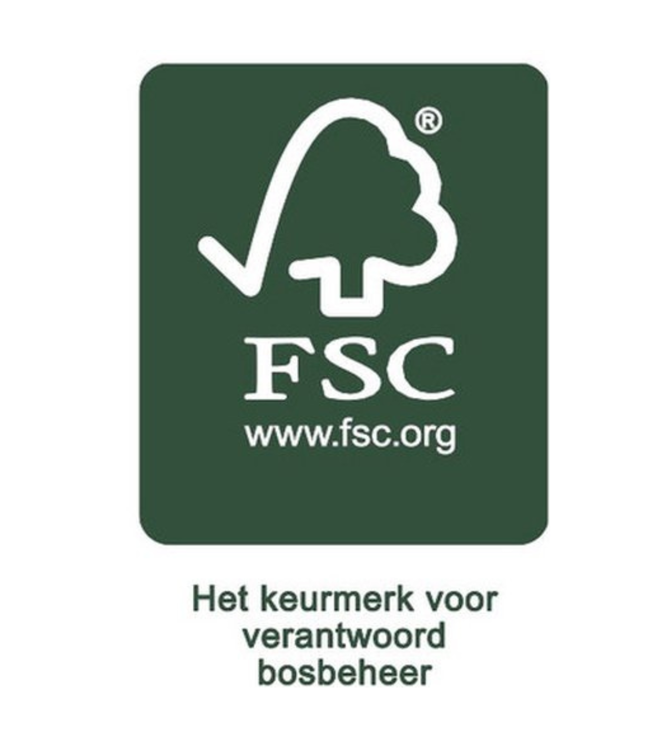 Houten stapeltrein | Duurzaam speelplezier voor peuters| Beige