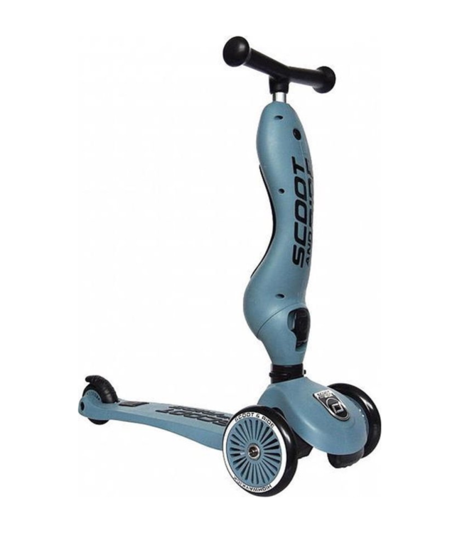 Highwaykick 1 | Loopfiets en step in één  | Steel