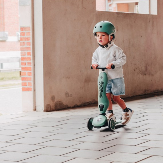 2-in-1 step en loopfiets Forest