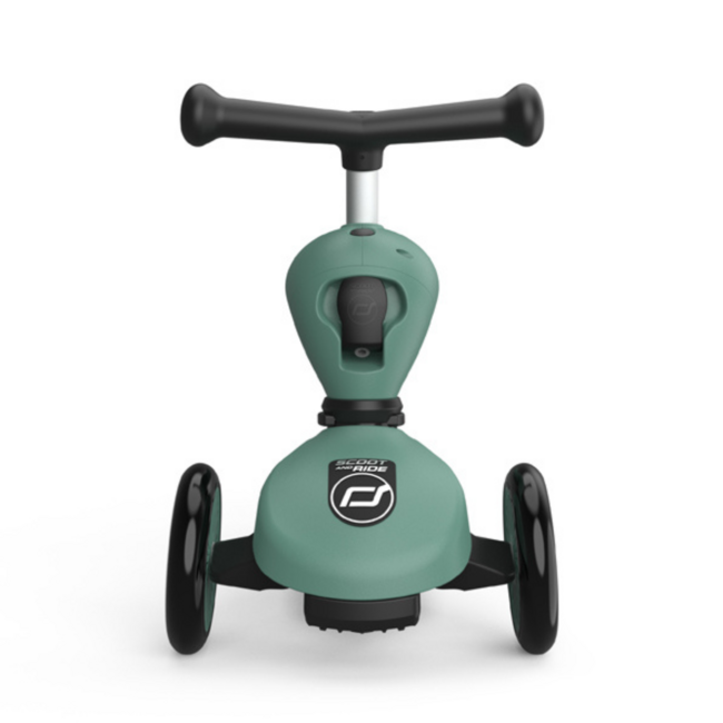 2-in-1 Step en Loopfiets voor Kinderen (1-5 jaar) – Forest