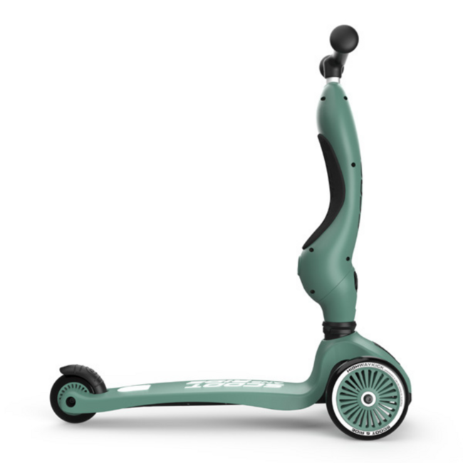 2-in-1 step en loopfiets Forest