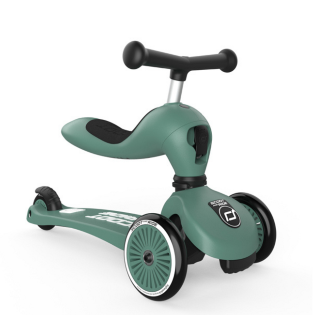 2-in-1 Step en Loopfiets voor Kinderen (1-5 jaar) – Forest