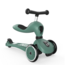 2-in-1 step en loopfiets Forest