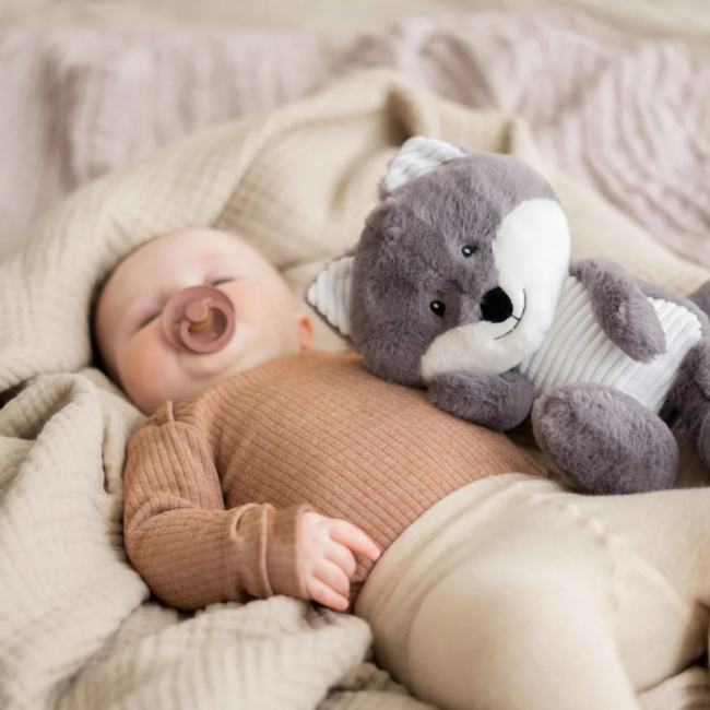 Heartbeat Comforter Robin the Fox – Sleep Buddy with Heartbeat, White Noise and Cry Sensor