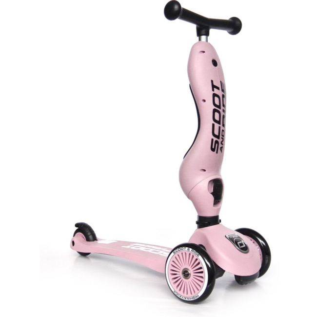 2-in-1 Step en Loopfiets voor Kinderen (1-5 jaar) – Rose