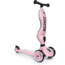 2-in-1 step en loopfiets Rose