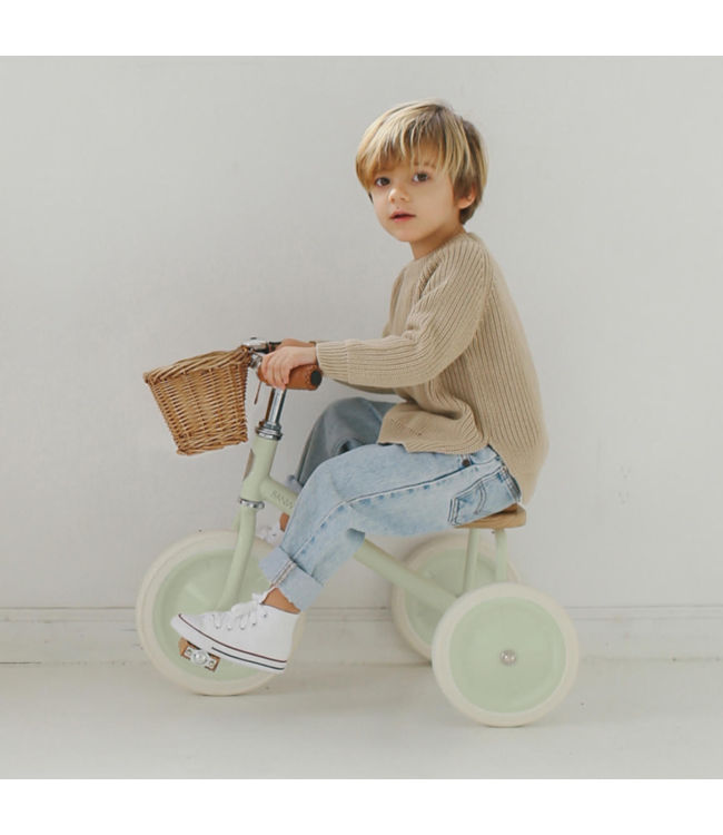 Driewieler mintgroen