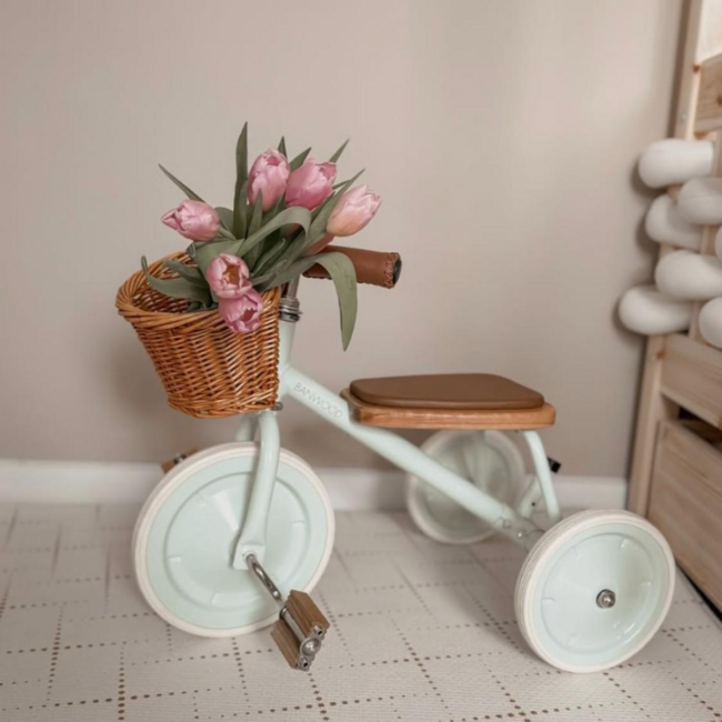 Vintage driewieler voor kinderen met mandje | Pale Mint, veilig en duurzaam