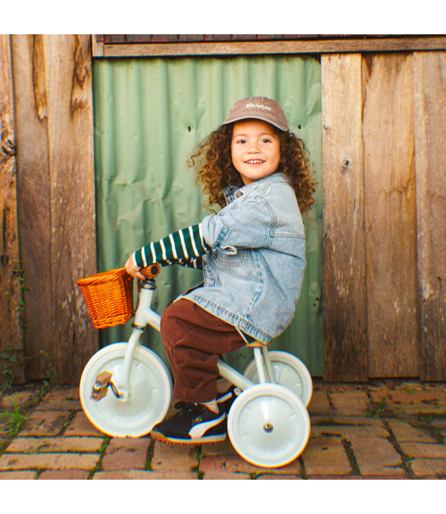 Driewieler mintgroen