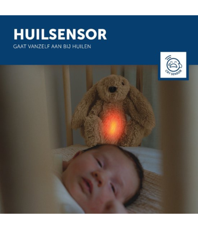 Ro het knuffelkonijn met hartslag en zacht licht