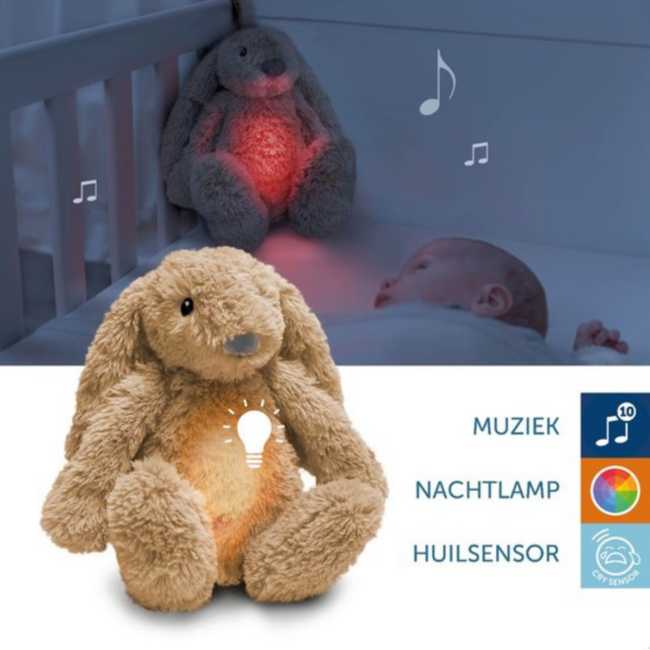 Ro het knuffelkonijn met hartslag en zacht licht