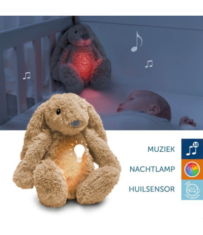 Ro het knuffelkonijn met hartslag en zacht licht