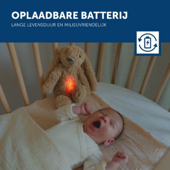 Ro het knuffelkonijn met hartslag en zacht licht