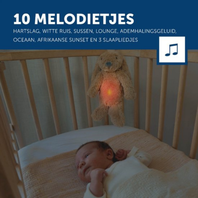 Ro het knuffelkonijn met hartslag en zacht licht