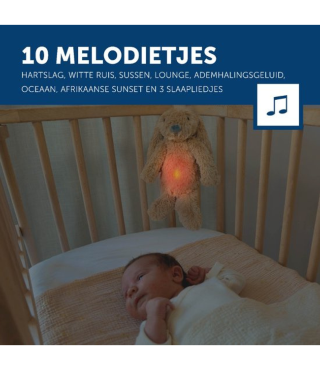 Ro het knuffelkonijn met hartslag en zacht licht