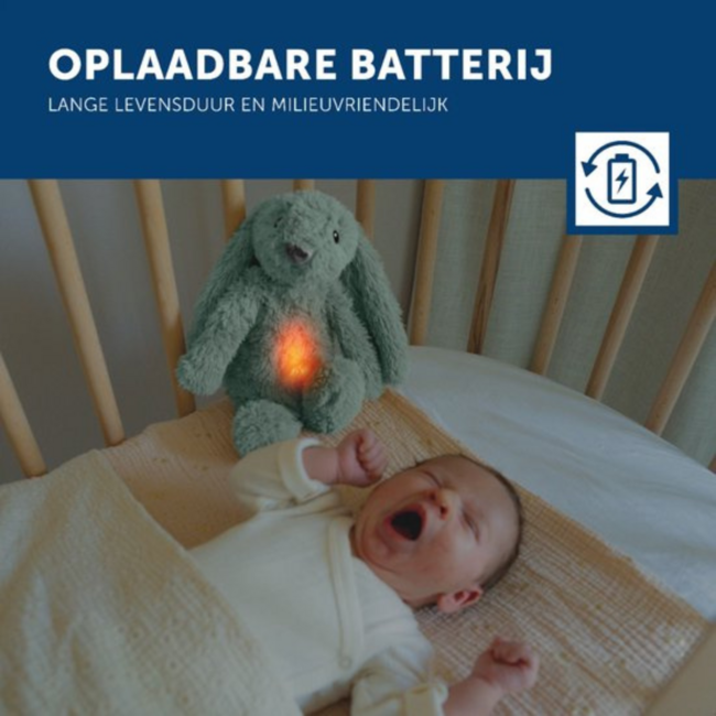 Ro het groene knuffelkonijn met hartslag en licht