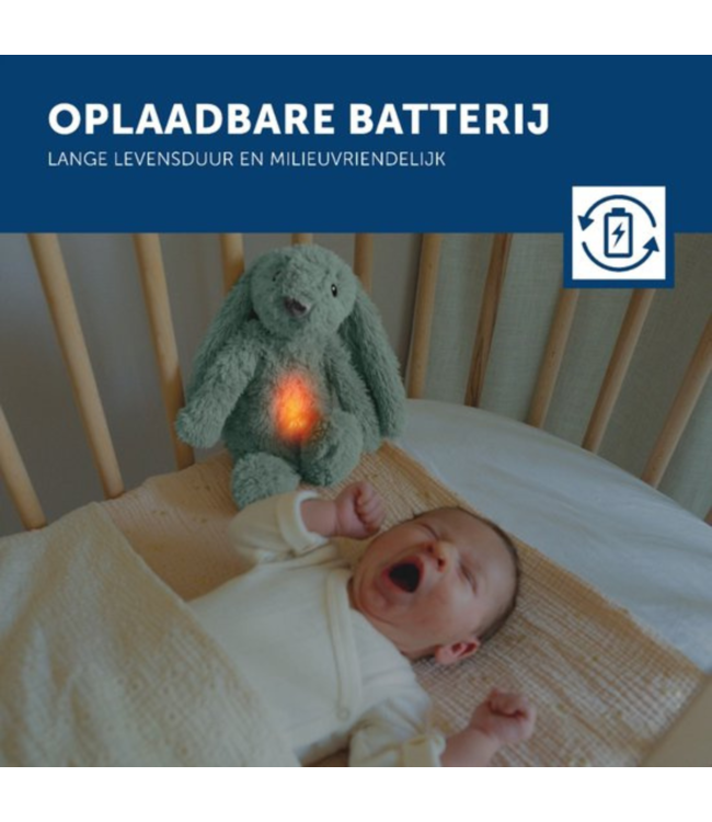 Ro het groene knuffelkonijn met hartslag en licht