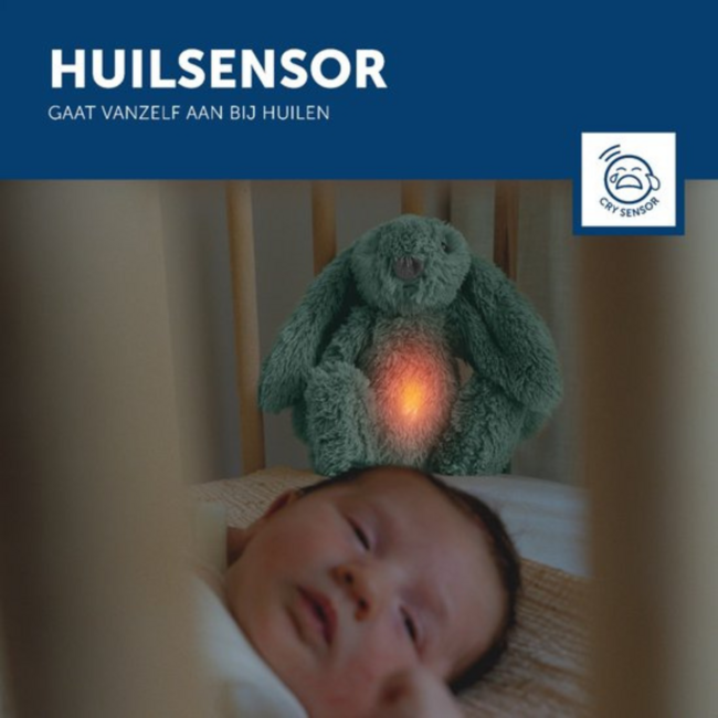 Ro het groene knuffelkonijn met hartslag en licht