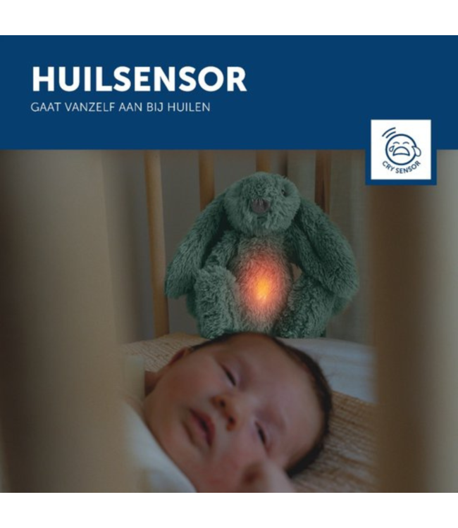 Ro het groene knuffelkonijn met hartslag en licht