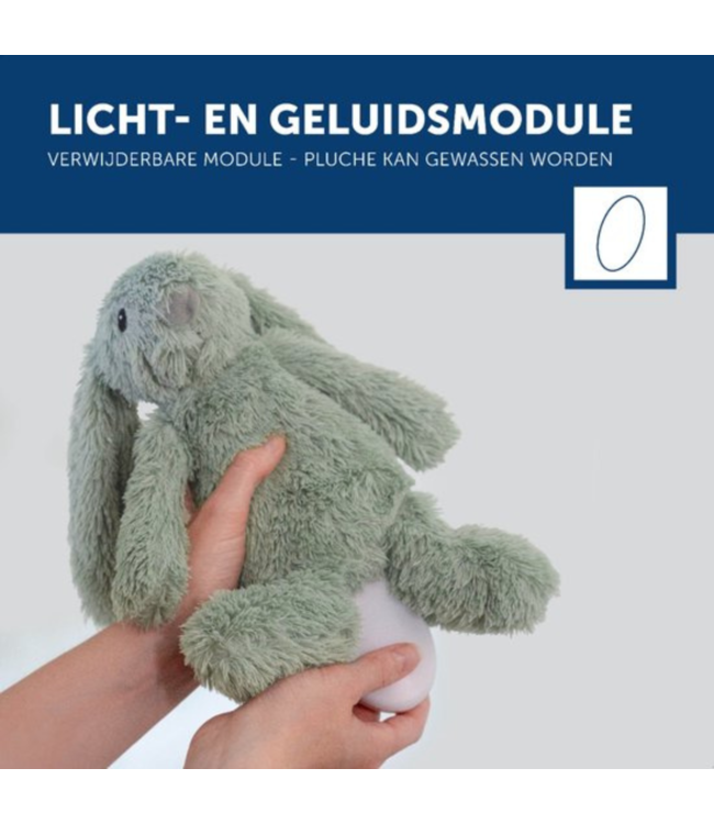 Ro het groene knuffelkonijn met hartslag en licht