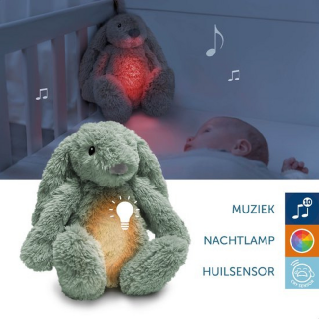 Ro het groene knuffelkonijn met hartslag en licht