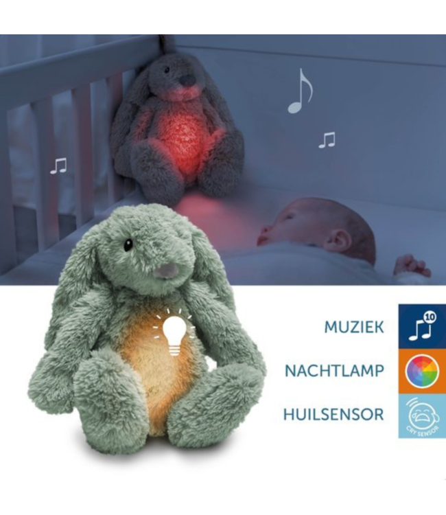 Ro het groene knuffelkonijn met hartslag en licht