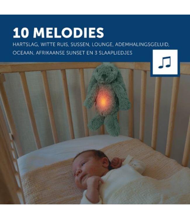 Ro het groene knuffelkonijn met hartslag en licht