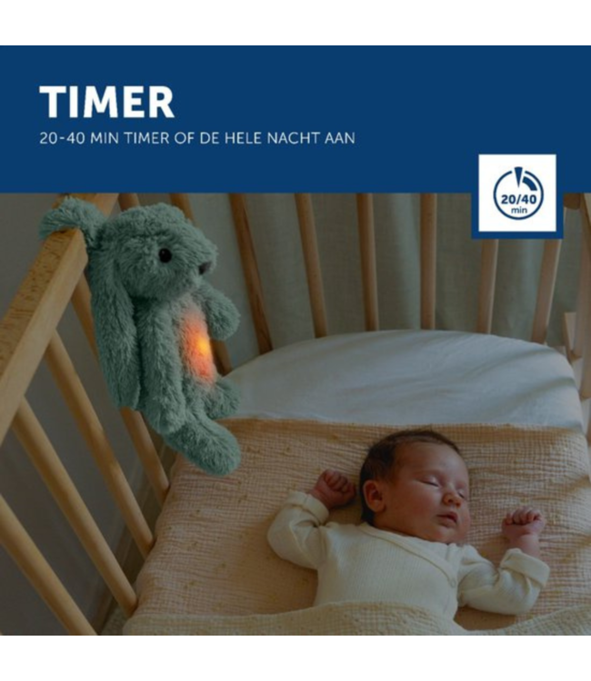 Ro het groene knuffelkonijn met hartslag en licht