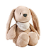 Nattou Knuffelkonijn Sleepy met hartslag en lamp   | Beige
