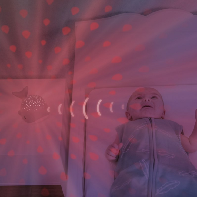 Wally walvis muzikale projector in camel met kalmerende licht- en geluidsshow