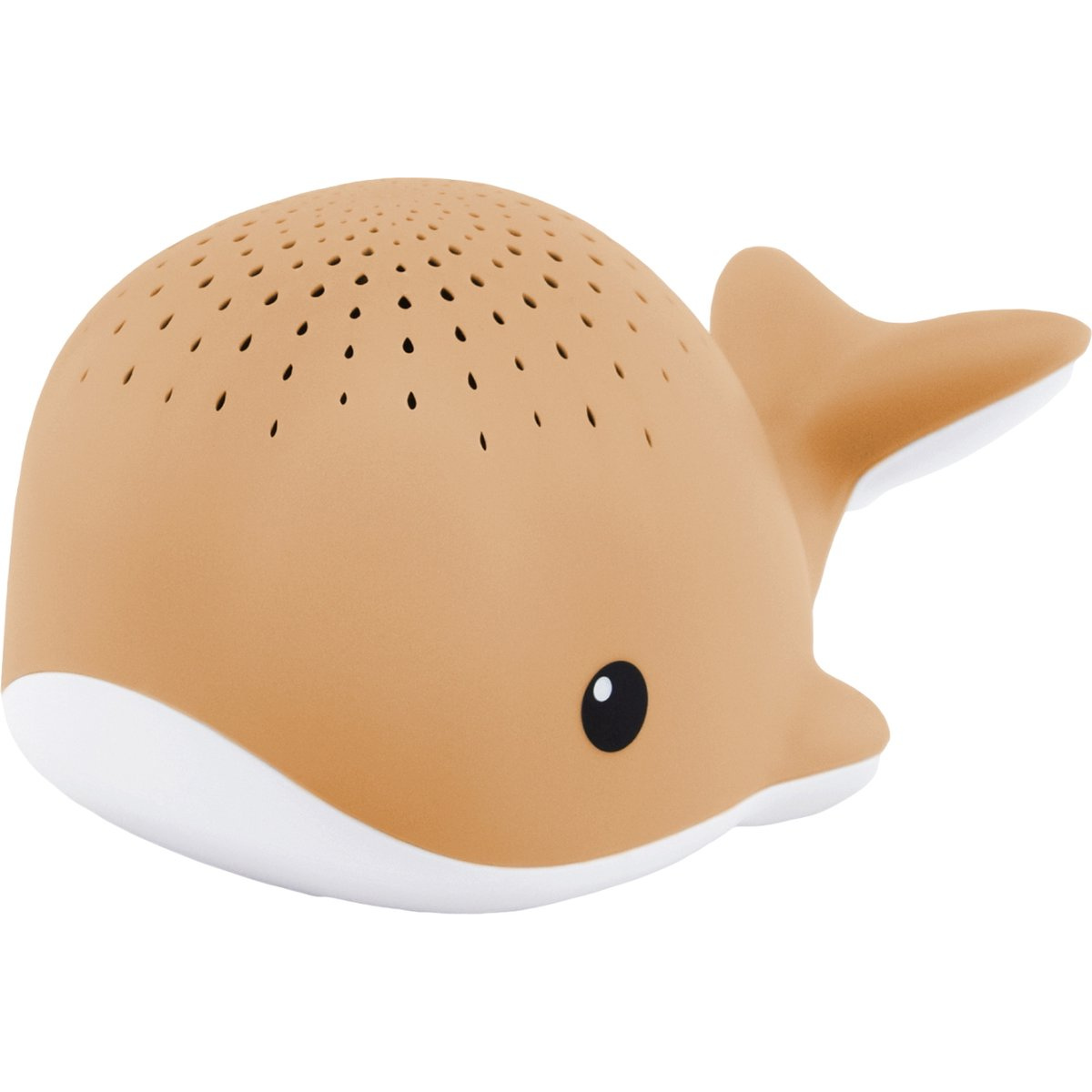 https://cdn.webshopapp.com/shops/353549/files/477282535/file.jpg