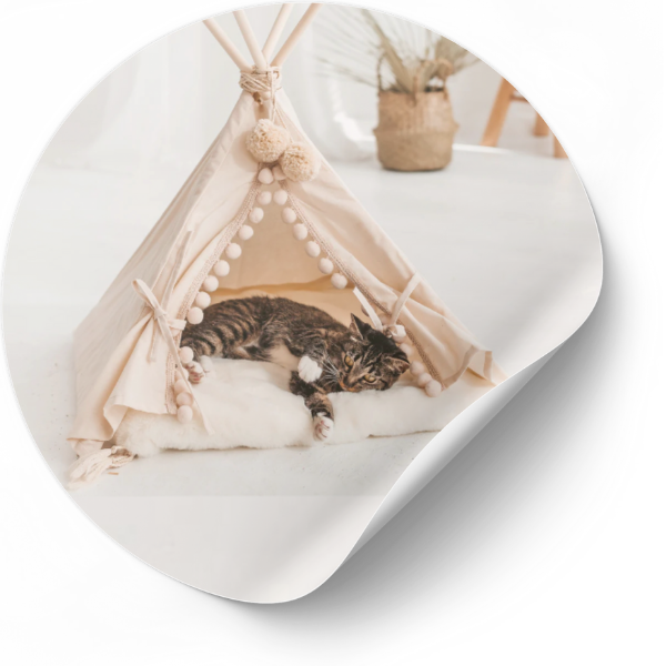 Hondentent of tipi tent voor kat, konijn en cavia