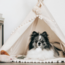 Tipi  tent voor middelgrote honden en grote katten in ecru met pompons – duurzaam, comfortabel en stijlvol (maat M)