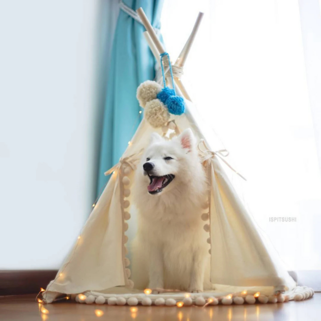 Tipi  tent voor middelgrote honden en grote katten in ecru met pompons – duurzaam, comfortabel en stijlvol (maat M)