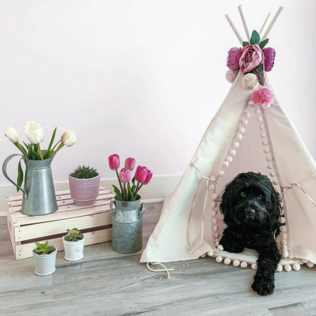 Tipi  tent voor middelgrote honden en grote katten in ecru met pompons – duurzaam, comfortabel en stijlvol (maat M)