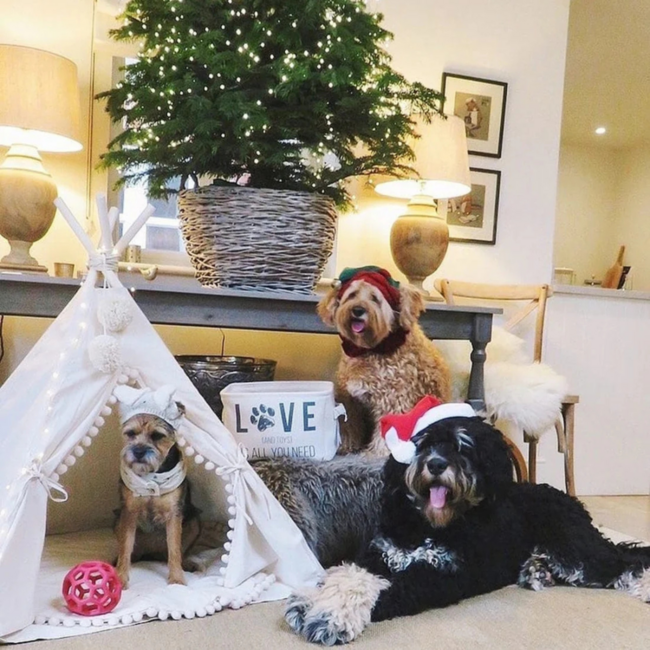 Tipi tent voor grote honden en katten – ecru maat L