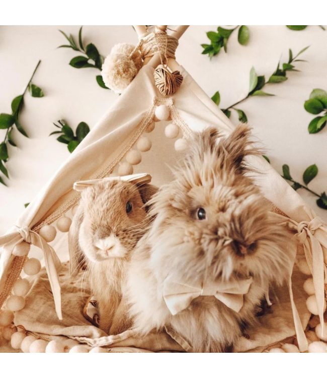 Tipi tent XS voor konijnen – matchend met kindertent