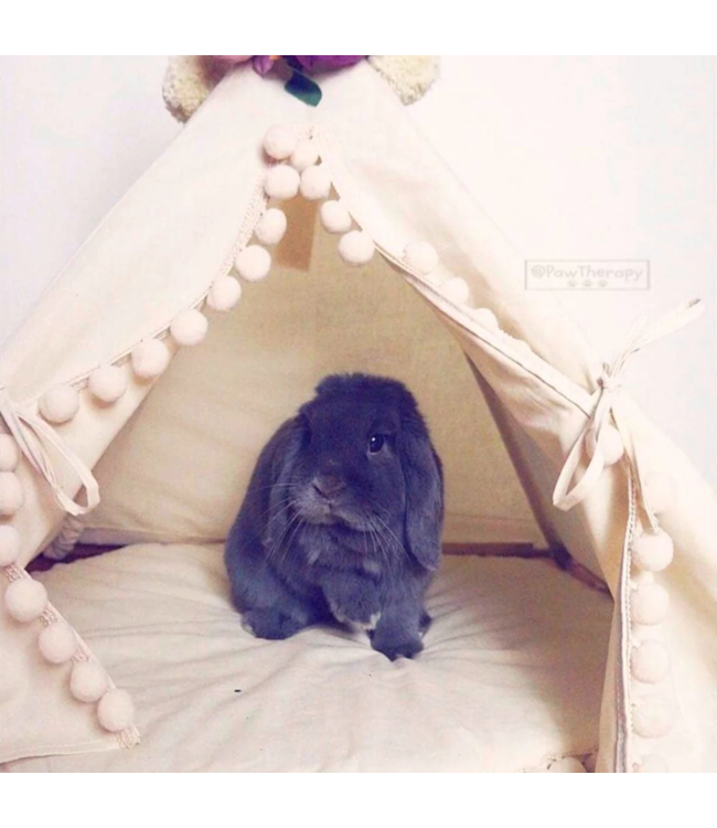 Tipi tent XS voor konijnen – matchend met kindertent