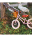 Loopfiets 12 inch in dusty roze – stijlvolle balansfiets voor peuters en kleuters