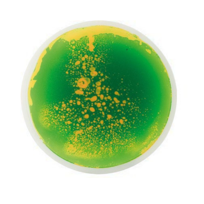 Round sensory floor tiles for motor skills and sensory development