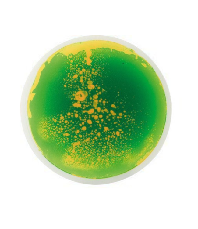 Ronde sensorische vloertegels voor motoriek en zintuigontwikkeling