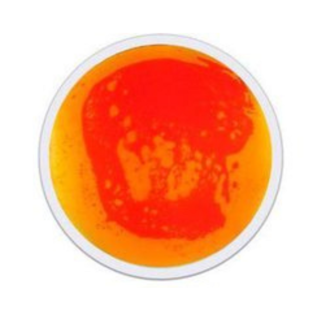 Round sensory floor tiles for motor skills and sensory development