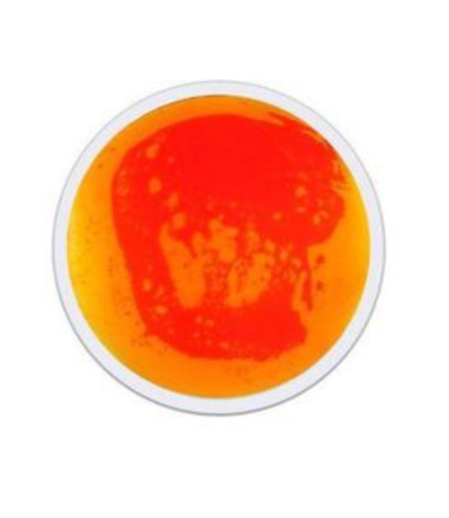 Ronde sensorische vloertegels voor motoriek en zintuigontwikkeling