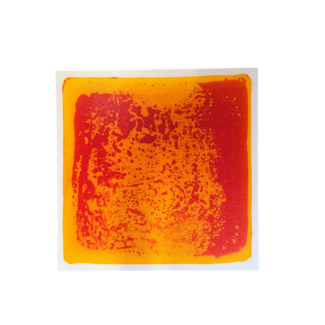 Union-Play Dalle sensorielle | Orange