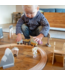 Houten treinbaan voor kinderen – Basisset met rails, trein en accessoires