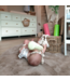 Ecru kruiprol voor baby’s – comfortabel en motoriek stimulerend speelgoed