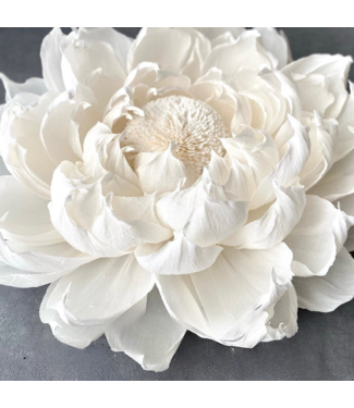 Wanddecoratie handgemaakte muurbloem | Wit Wanddecoratie handgemaakte muurbloem | Wit