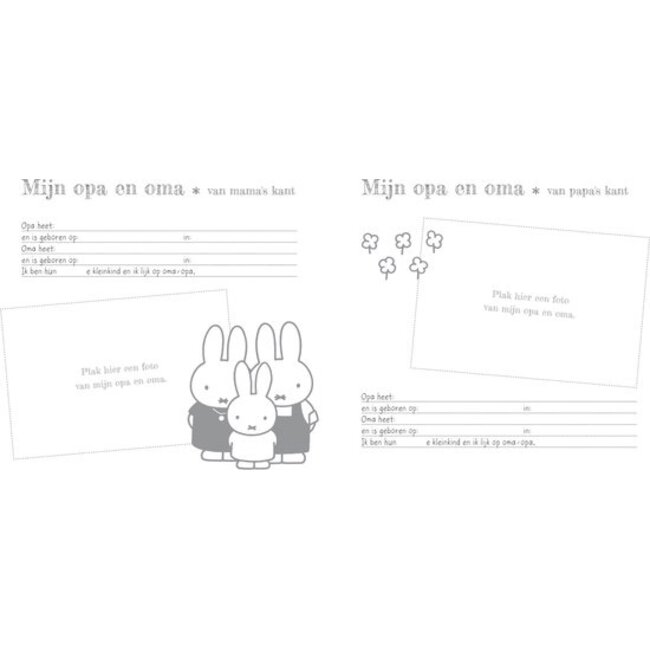 Nijntje Baby’s Eerste Jaar boek in blauw – bewaak herinneringen van het eerste jaar